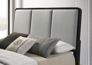 Arini - Upholstered Panel Bed