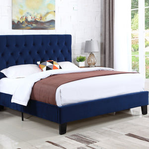 Amelia - Upholstered California King Bed - Navy