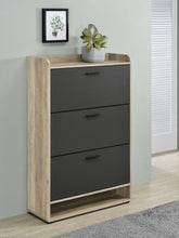 Denia - 3-Tier Engineered Wood Shoe Cabinet