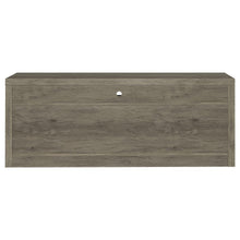 Burke - 2-Drawer Engineered Wood TV Stand - Gray Driftwood