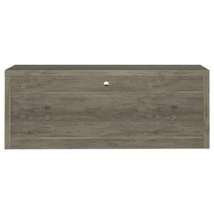 Burke - 2-Drawer Engineered Wood TV Stand - Gray Driftwood