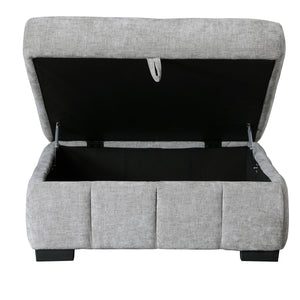 Ritchie - Storage Ottoman - Pewter